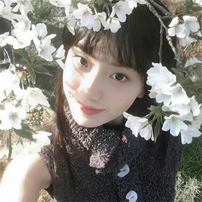 他来自程氏集团海报
